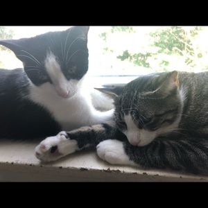 Meet your Posher, Miranda